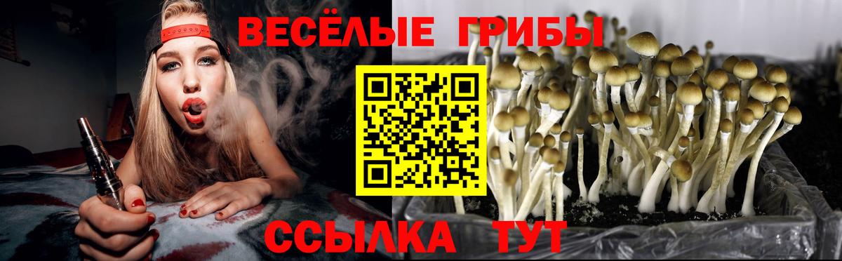 Галлюциногенные грибы Psilocybine cubensis Железноводск
